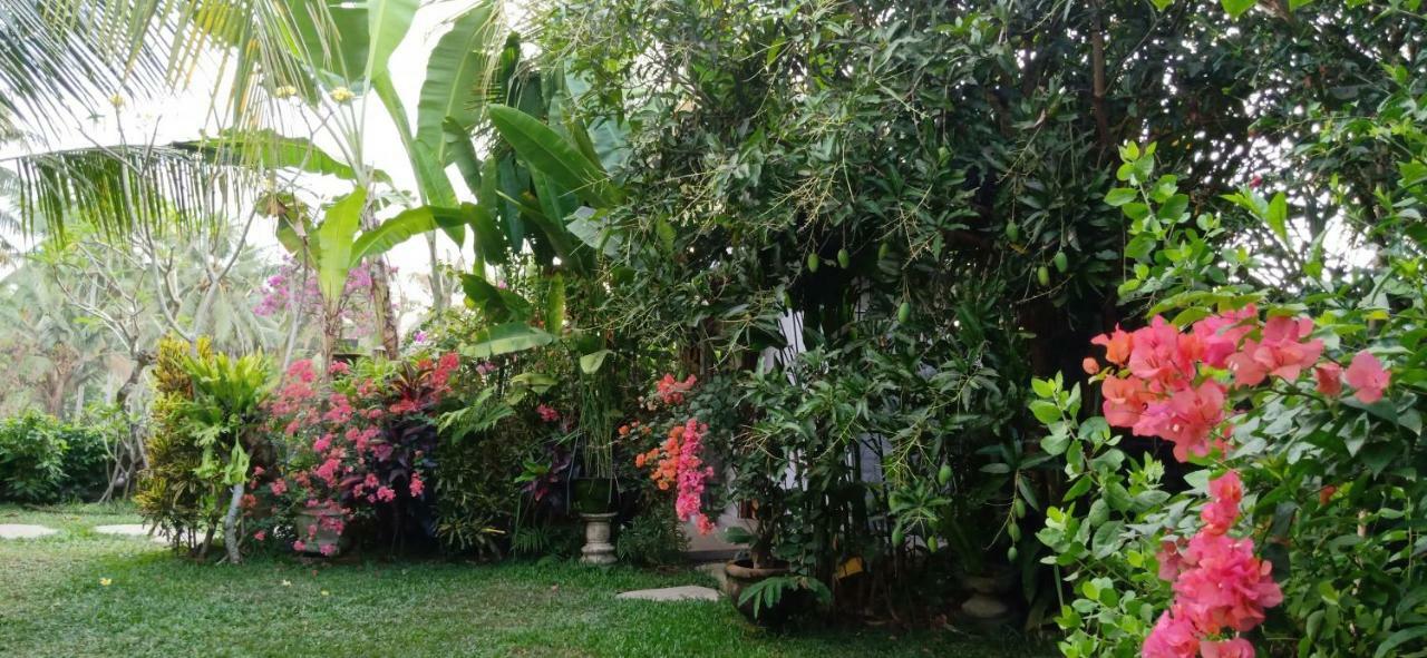 Baliwid Ubud
