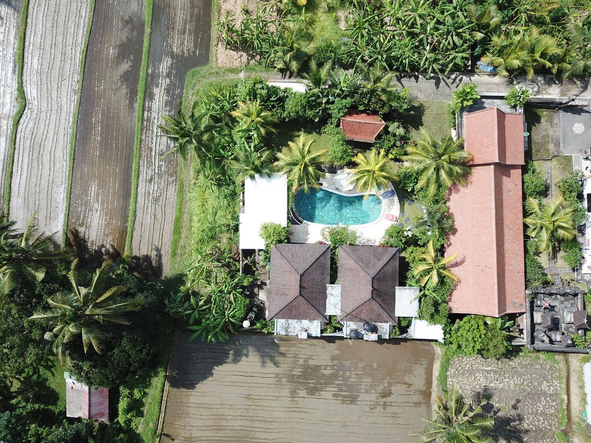 Affittacamere Baliwid Ubud